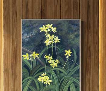 yellow-orchid-fine-art